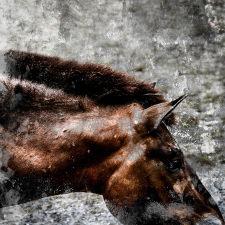 Equitat